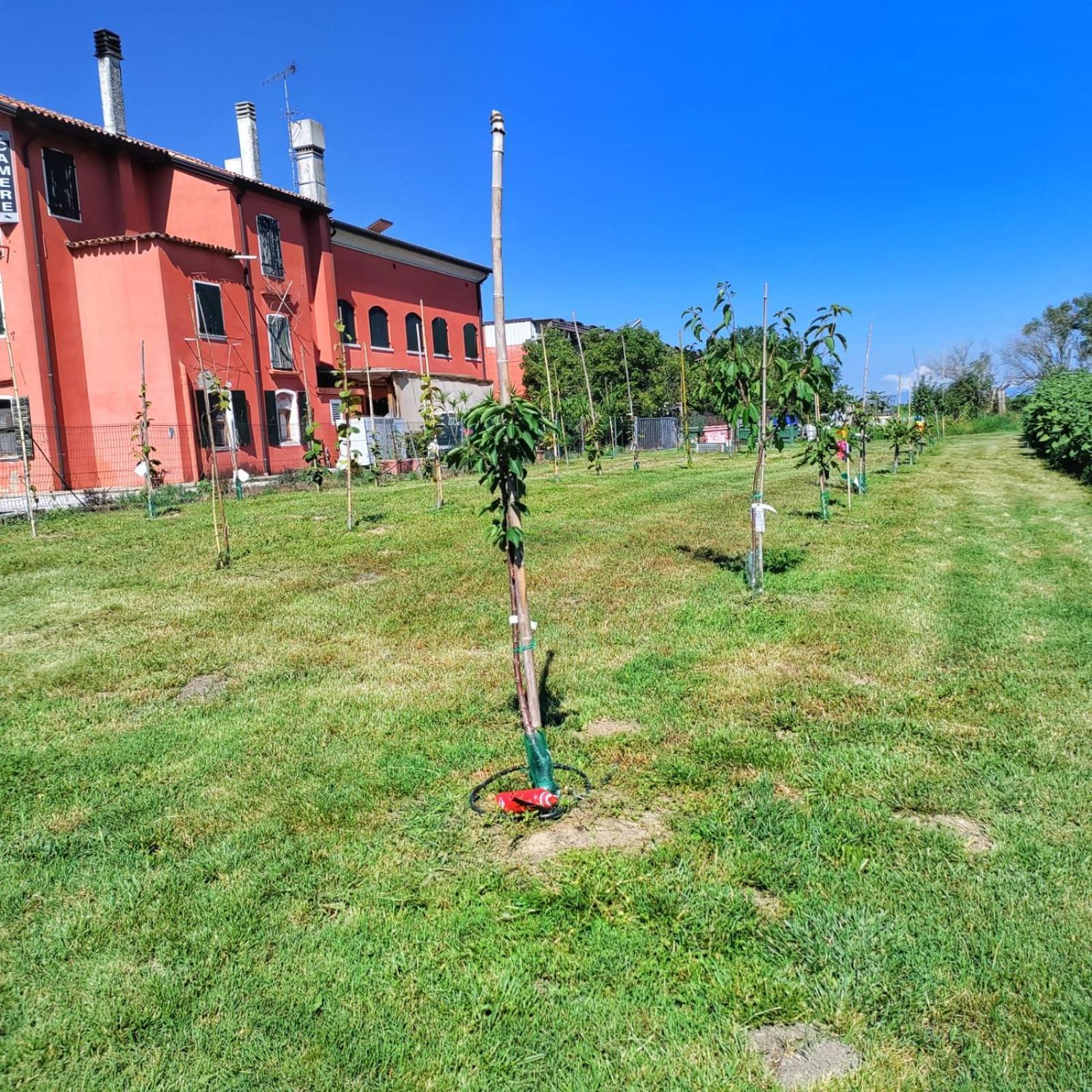 Quadrifoglio Relax Casa de hóspedes San Donà di Piave Exterior foto